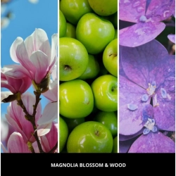 Millefior Magnolia Blossom & Wood Zapach do samochodu - uzupełniacz CAR ICON